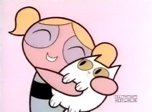BUllE et le petit chat...